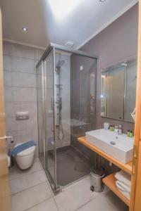 瓦西利基Grand TheoNi Boutique Hotel & Spa的一间带玻璃淋浴和水槽的浴室