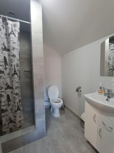 米库利钦Кам'яний двір的浴室配有卫生间、淋浴和盥洗盆。