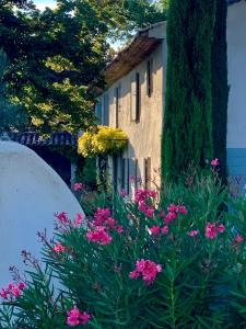屈屈龙Les Jardins de Sitaara的一座花园,在一座建筑前方种有粉红色花卉