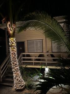 库尔克岛DreamCabanas的棕榈树,在房子前面装饰有灯光