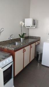 阿雷格里港Apart Hotel Garibaldi的厨房配有带水槽和微波炉的台面