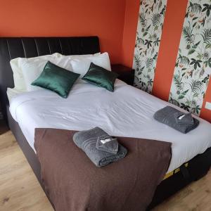 克利夫登Apt 3 The Grainstore的一张带绿色枕头的床和毛巾