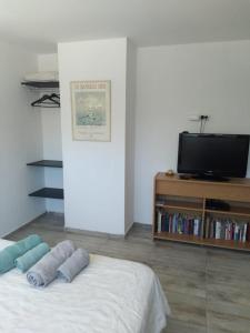内乌肯Aires de la costa Renovado的一间卧室配有电视和一张带枕头的床。