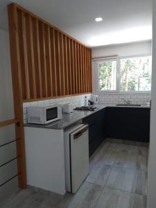 内乌肯Aires de la costa Renovado的厨房配有白色冰箱和微波炉