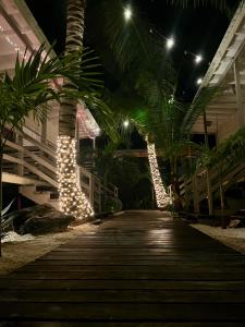 库尔克岛DreamCabanas的夜间棕榈树上带圣诞灯的木板人行道