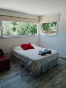 内乌肯Aires de la costa Renovado的一间卧室设有一张大床和两个窗户