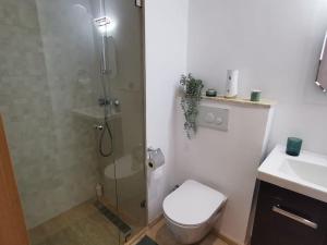 卡萨布兰卡Superbe appart cosy au centre de Casa+Free Parking的带淋浴、卫生间和盥洗盆的浴室