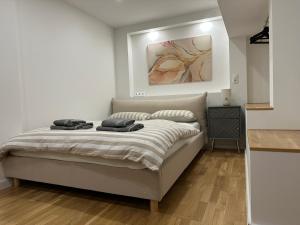 威斯巴登BLISS - Arbeitsplatz, Docking Station, Netflix的一间卧室配有一张床,上面有两条毛巾