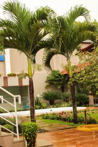 安谢塔Pousada No Meio do Mundo的两棵棕榈树,在一座建筑前