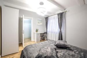 勒德乌齐Nannie Apartaments Skenges的一间卧室配有一张床、一张书桌和一个窗户。