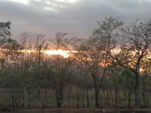 Las LajasLa Cima del Cielo的一组树,背景是日落