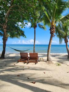 玛雅湾玛雅海滩酒店的棕榈树海滩上的两把长椅和大海
