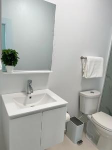圣胡安San Juan Home的白色的浴室设有水槽和卫生间。