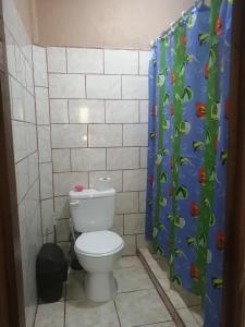 希门尼斯港BRIKE Apartamento的一间带卫生间和淋浴帘的浴室