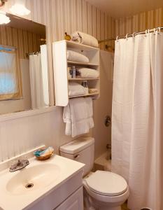 威尔明顿怀特费斯礁岩汽车旅馆的浴室配有卫生间、盥洗盆和淋浴。