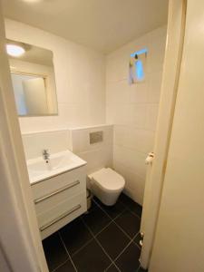 劳雷尔苏格Vakantiehuis Robbenoort 18的白色的浴室设有水槽和卫生间。