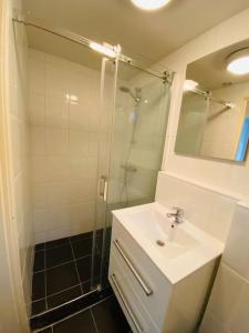 劳雷尔苏格Vakantiehuis Robbenoort 18的带淋浴、盥洗盆和镜子的浴室