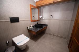 卡尔斯AHISKA PALAS OTEL的一间带卫生间、水槽和镜子的浴室