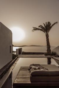 奥诺斯Casa Cook Mykonos - Adults Only的一个带床和棕榈树的游泳池