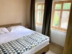 比克Levendula Vendégház的一间卧室设有一张床和两个窗户。