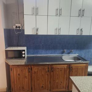 彼得马里茨堡Msunduzi River View backpackers的厨房配有水槽和微波炉