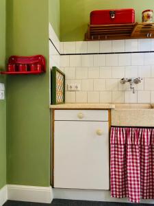 宾斯霍滕De Oude Pastorie的厨房设有绿色的墙壁和台面