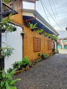 公主港Balai Vivencio Hostel的一座植物在建筑的一侧