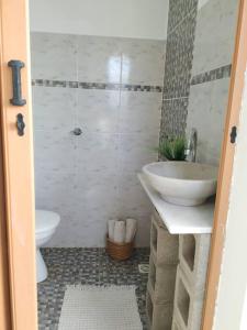 埃斯佩兰萨eco veggie的一间带水槽和卫生间的浴室