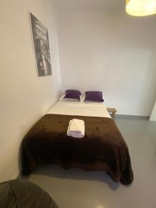 马德里Apartamento en Madrid Rio con Parking Gratuito的一间卧室配有一张带棕色毯子的大床