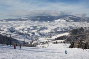 DúbravyDetvan – getaway in Poľana mountains的一群人沿着雪覆盖的斜坡滑雪