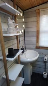 赖德'Monktonmead Lodge' in secluded setting, with private indoor pool.的一间带水槽和白色水槽的浴室