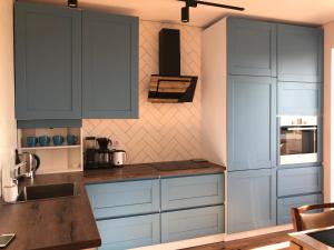 乌曼岛Однокімнатна квартира的厨房配有蓝色橱柜和水槽