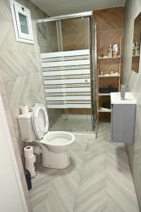 Shelomiפסגת הדרור的浴室配有卫生间、淋浴和盥洗盆。