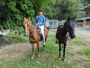 伊瓦格Casa Flórez Hotel Campestre的一名在另一匹马旁边骑马的男孩