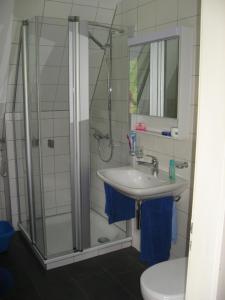 芙露姆赛山Haus Gimpel Flumserberg的带淋浴、盥洗盆和卫生间的浴室