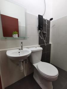 关丹De'Sara Damai Homestay, Kuantan的一间带卫生间和水槽的浴室
