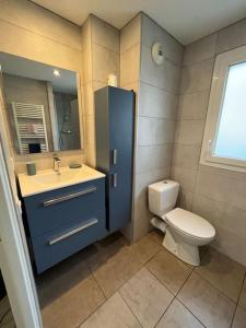 安锡Joli T2 dans Annecy的一间带卫生间、水槽和镜子的浴室