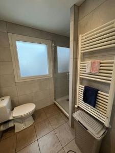 安锡Joli T2 dans Annecy的一间带卫生间和淋浴的浴室以及窗户。