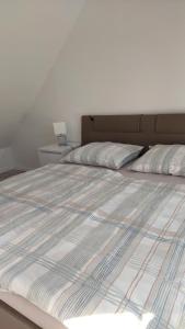 卡特兹奥布萨维Apartma Stela in Terme Čatež的床上有2个枕头