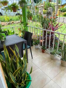 曼米湾Cozy Villa的一个带桌子和一束盆栽植物的庭院