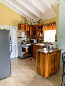 曼米湾Cozy Villa的厨房配有炉灶和冰箱。