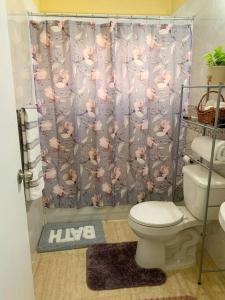 曼米湾Cozy Villa的浴室配有带卫生间的淋浴帘
