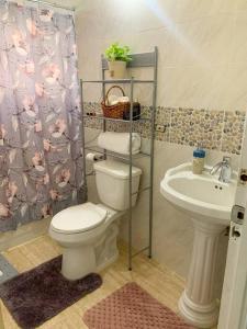 曼米湾Cozy Villa的一间带卫生间和水槽的浴室