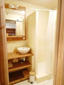 Viuz-en-SallazGîte Cœur de Haute-Savoie的一间带水槽和淋浴的浴室