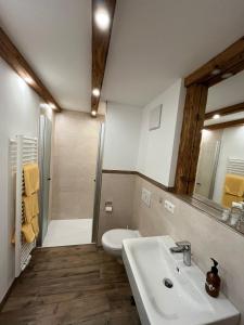 斯陶达奇格达赫祖姆奥特酒店的一间带水槽、卫生间和淋浴的浴室