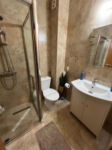 蒂米什瓦拉PENSIUNEA UNO的浴室配有卫生间、淋浴和盥洗盆。