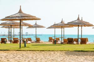艾因苏赫纳Coral Sea Beach and Aqua Park的海滩上的一组椅子和遮阳伞
