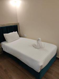 瓦迪穆萨Old Street Apartment的一间卧室配有带白色床单和枕头的床。