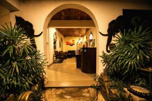 波隆纳鲁沃塞亚拉度假酒店的植物之家中带拱门的走廊