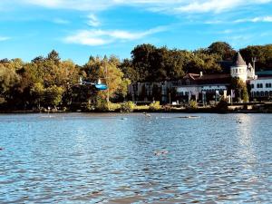 RixensartGenval - The Lake Side House的在湖中游泳的一群人